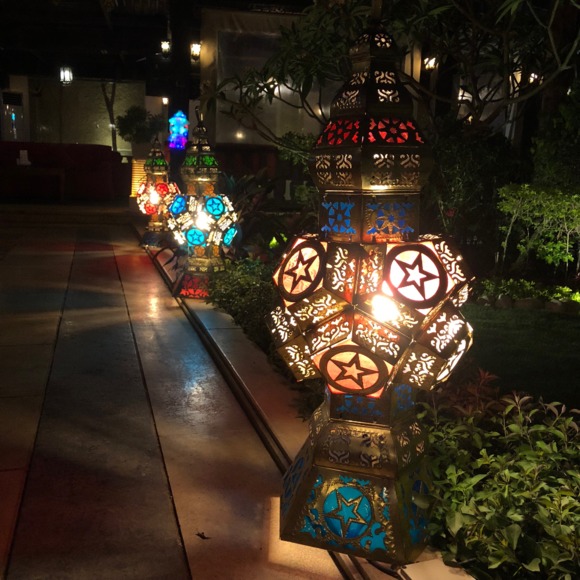 Meet your Posher, Rabiya - Picture 1 of 1